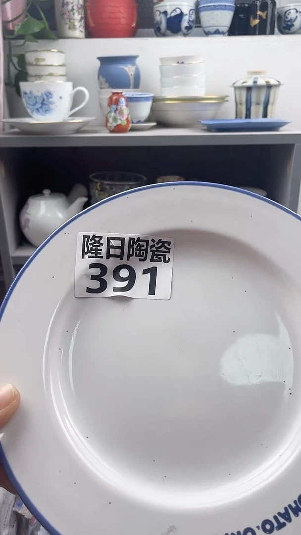 【闪购商品】瓷片391longritaoci