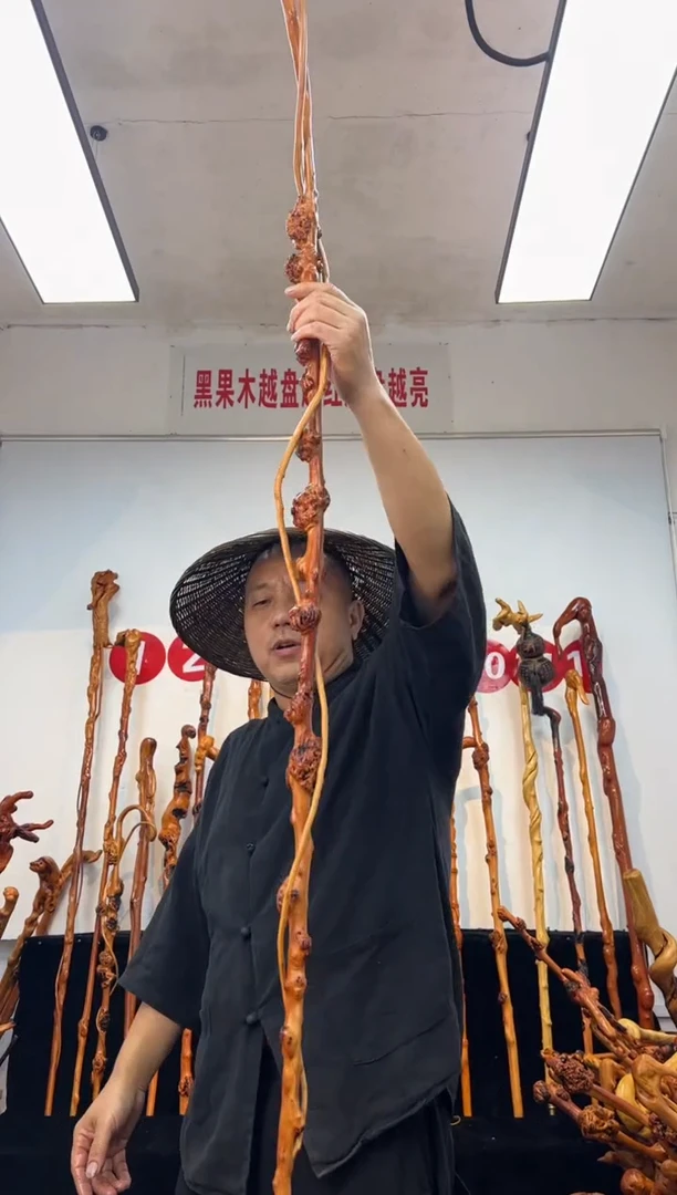 黑果木其他黑果木558