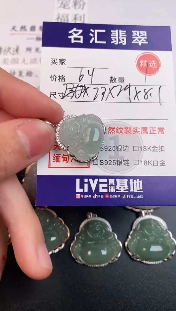 翡翠银S925镶嵌颈饰·