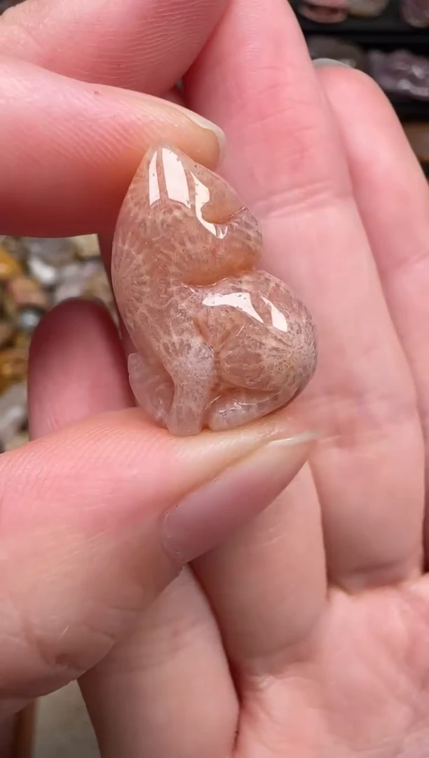 颈饰未镶嵌硅化珊瑚（珊瑚玉）345