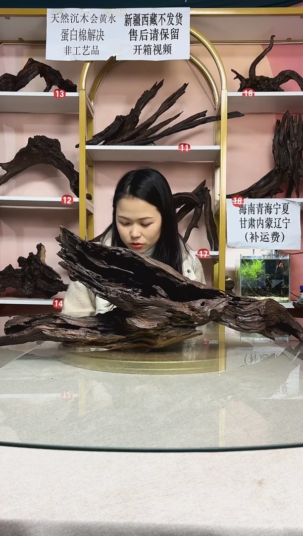 嘟***。鱼缸造景沉木A027