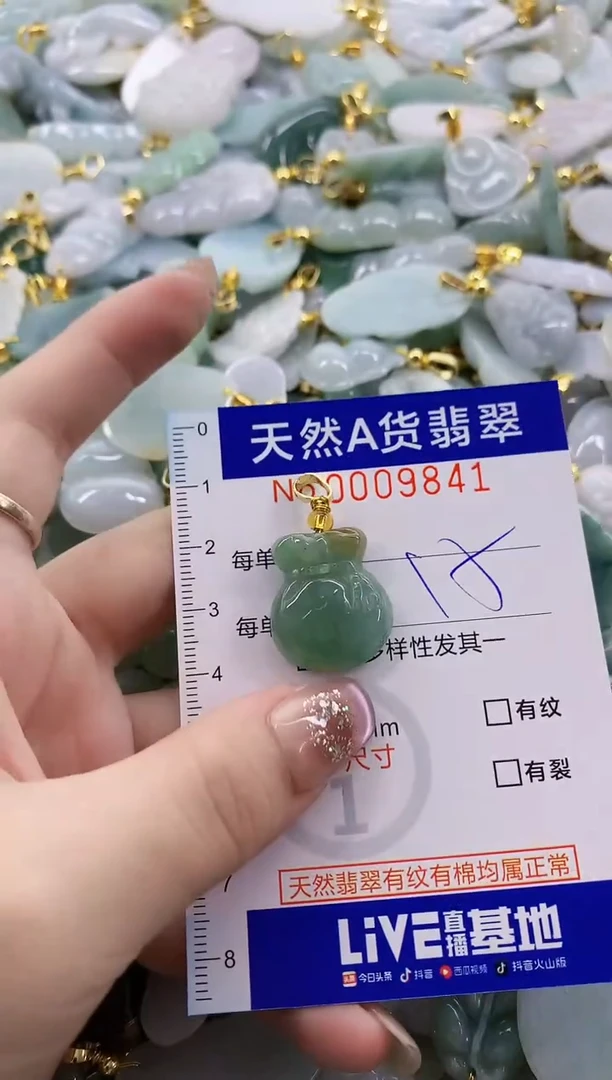 颈饰未镶嵌翡翠天然A货翡翠