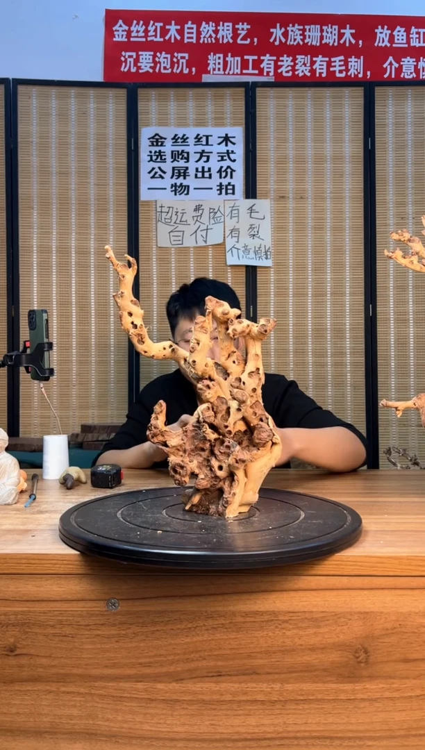 【闪购商品】香榧木云南红河金丝红886