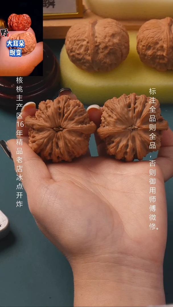 把件桃核43白狮子四棱9号