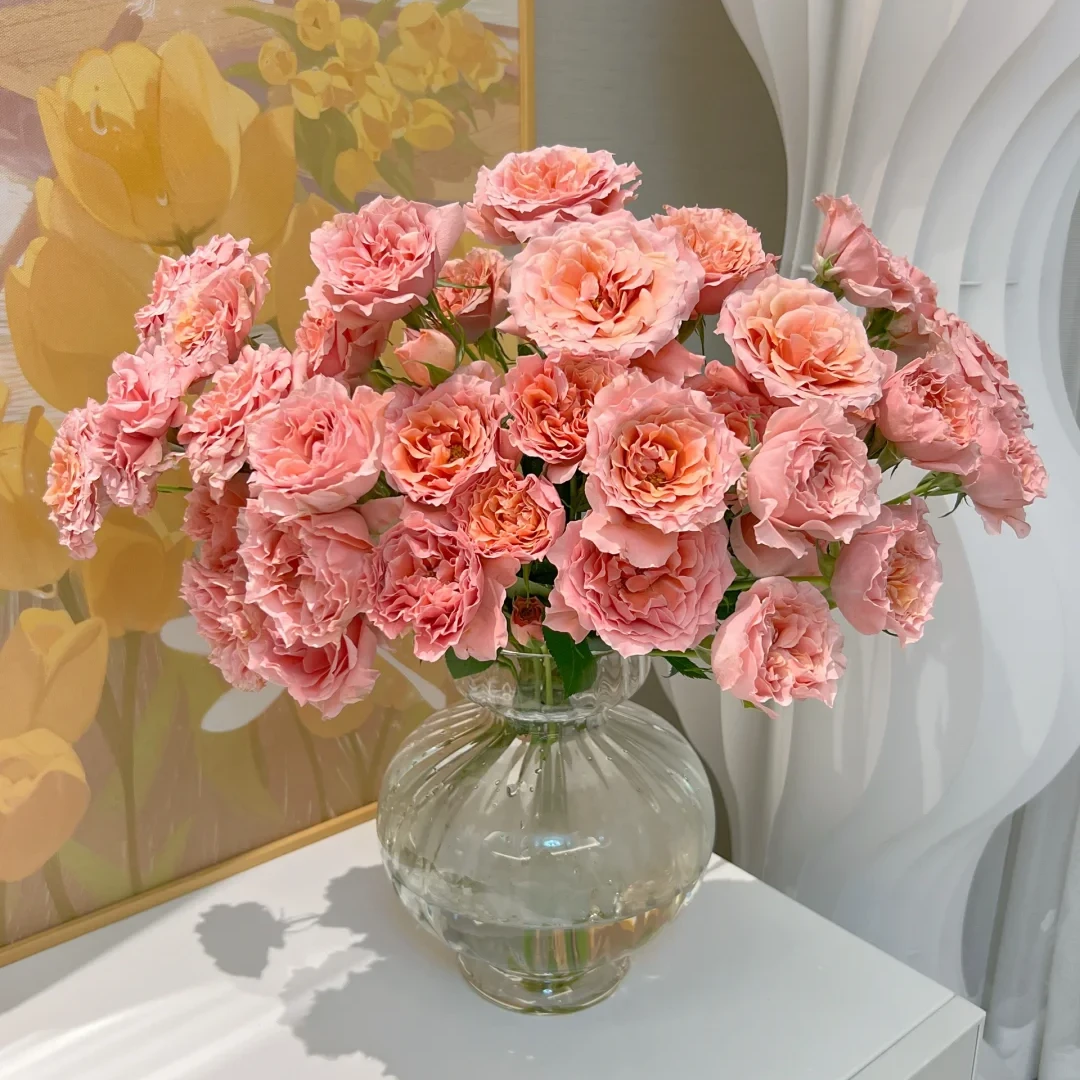 【粉色拉拉队AK】10枝多头玫瑰 基地直发 | 全场任意满鲜花两单包邮