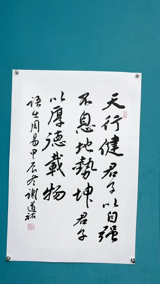 【闪购商品】谢老师传统艺术年画天行健