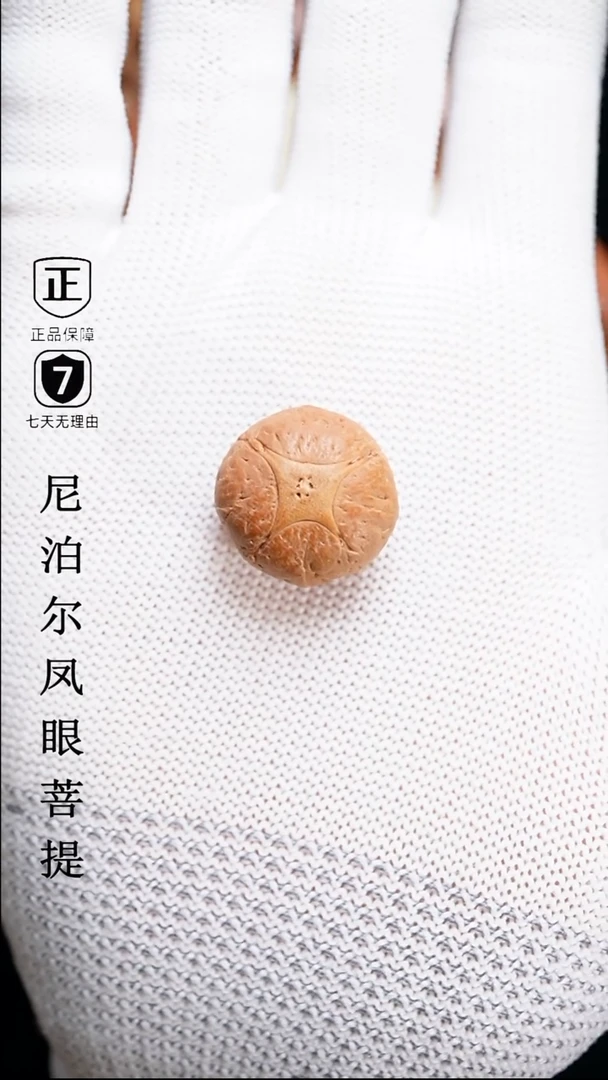 【闪购商品】凤眼菩提手串21.5+麒麟单颗