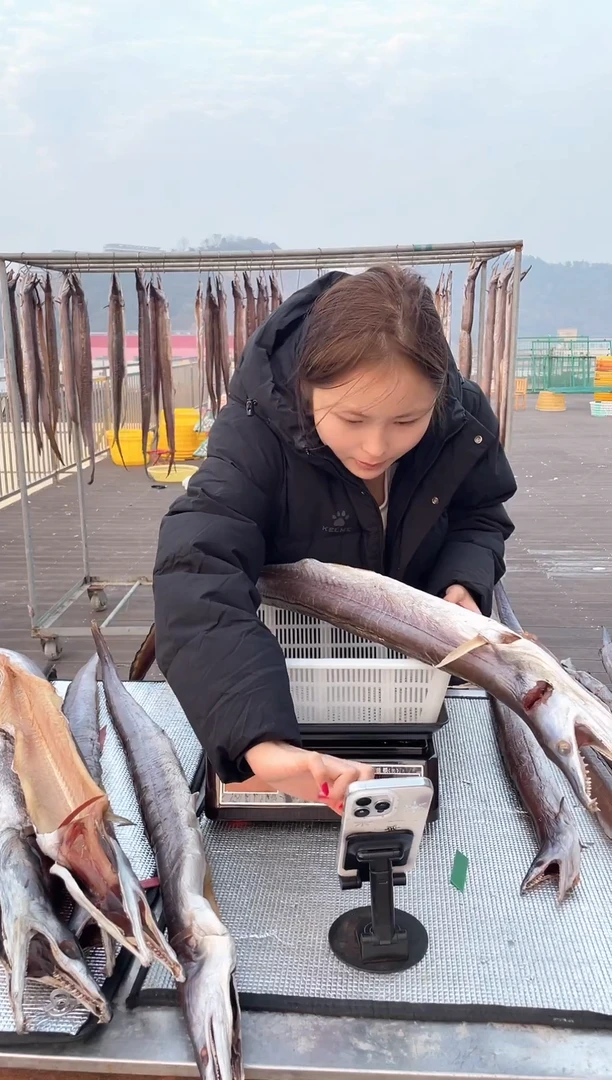 中国大陆4.6斤风鳗1条