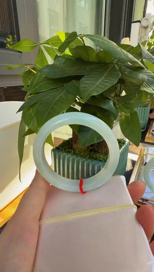 未镶嵌手镯翡翠缅甸天然A货翡翠手镯-27