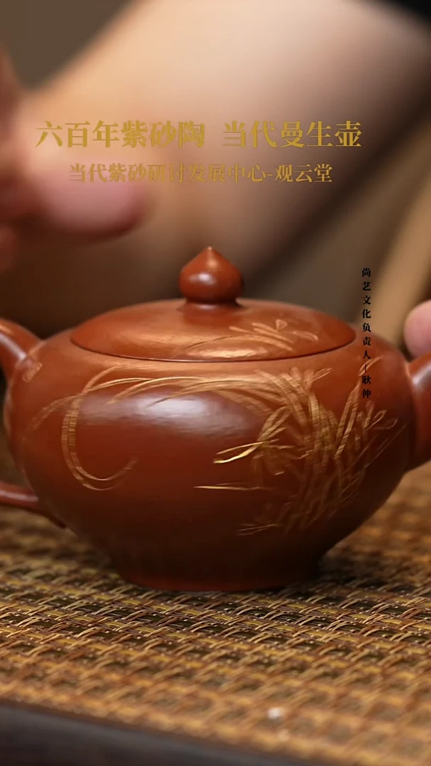 茶壶紫砂紫砂茶壶 鸡血大红袍 华灯