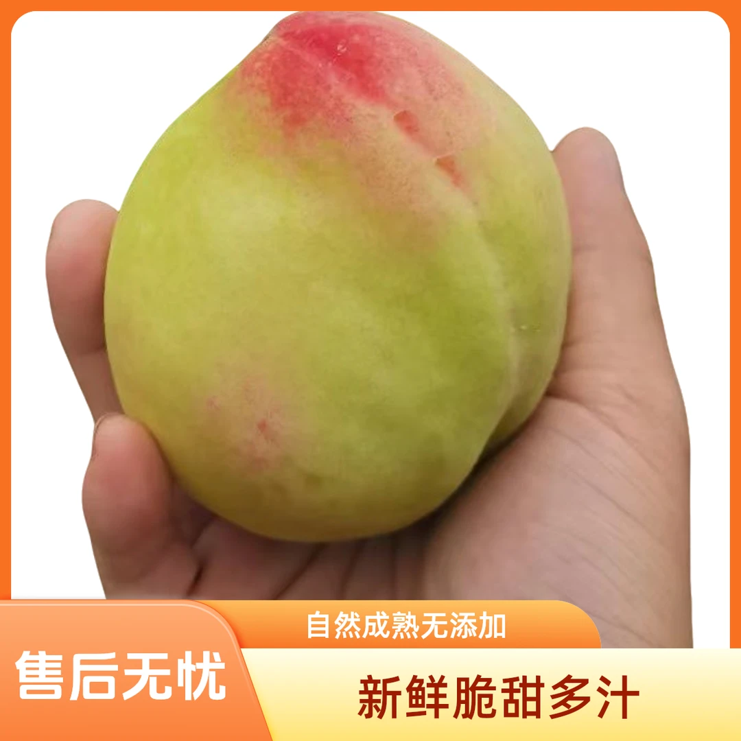 果园现摘现发脆桃香蜜桃10斤包邮到家清甜爽口水嫩多汁大果现摘现发广东省