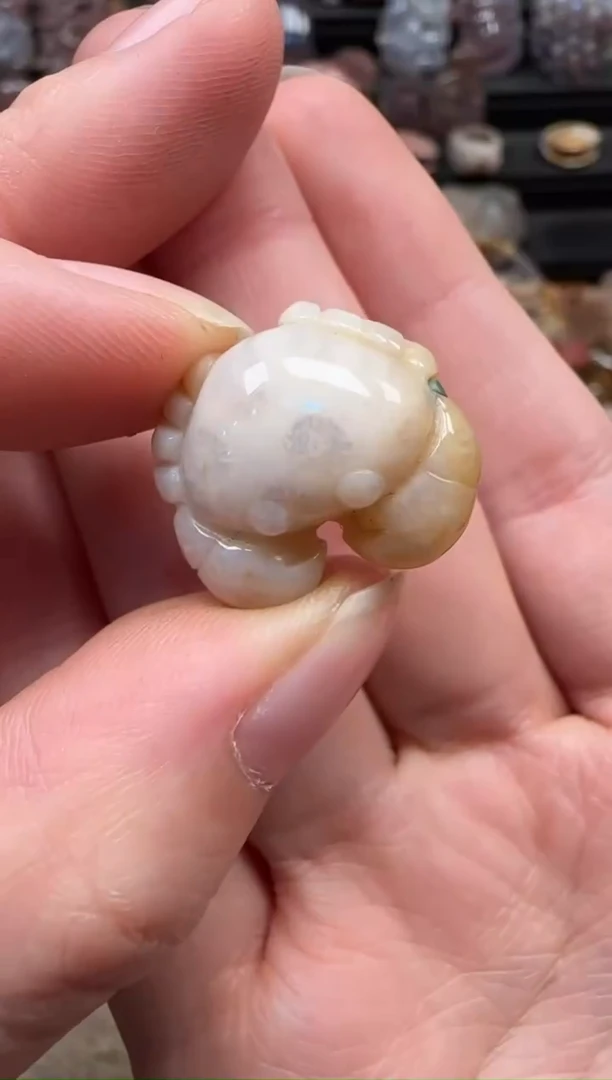 颈饰未镶嵌硅化珊瑚（珊瑚玉）511