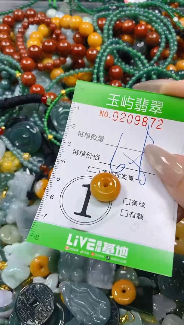 颈饰未镶嵌翡翠闪购0209872