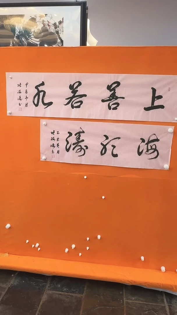 【闪购商品】书法张海涛书法作品不同画面