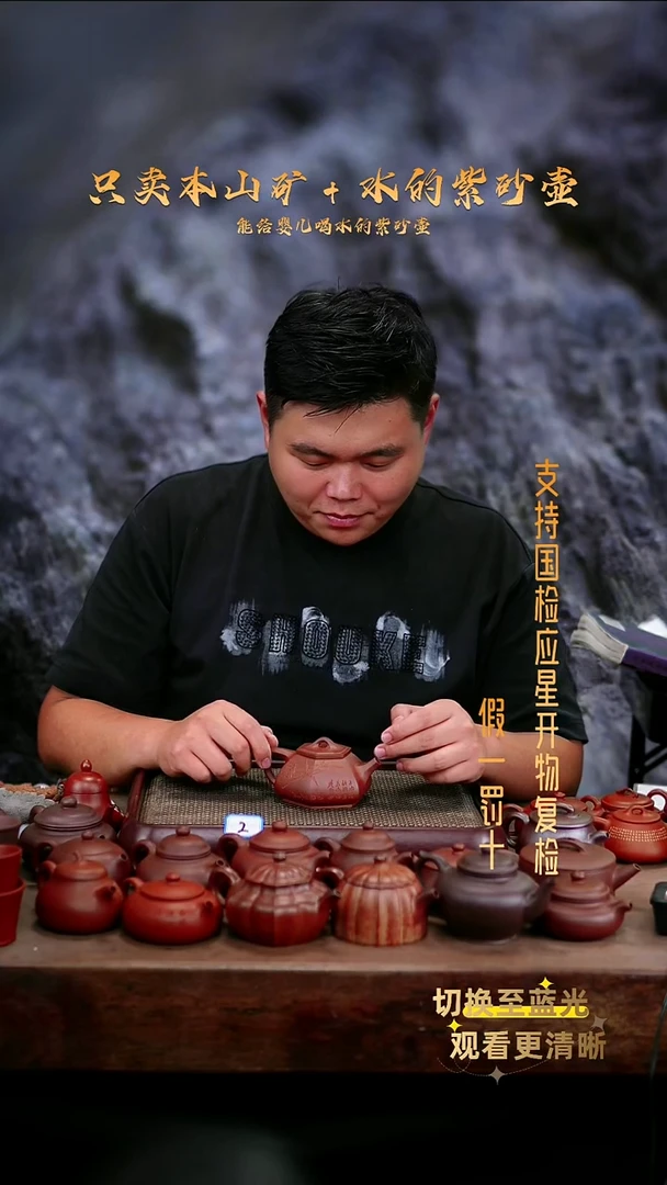 茶壶紫砂全手底槽青 刻绘 六方石瓢