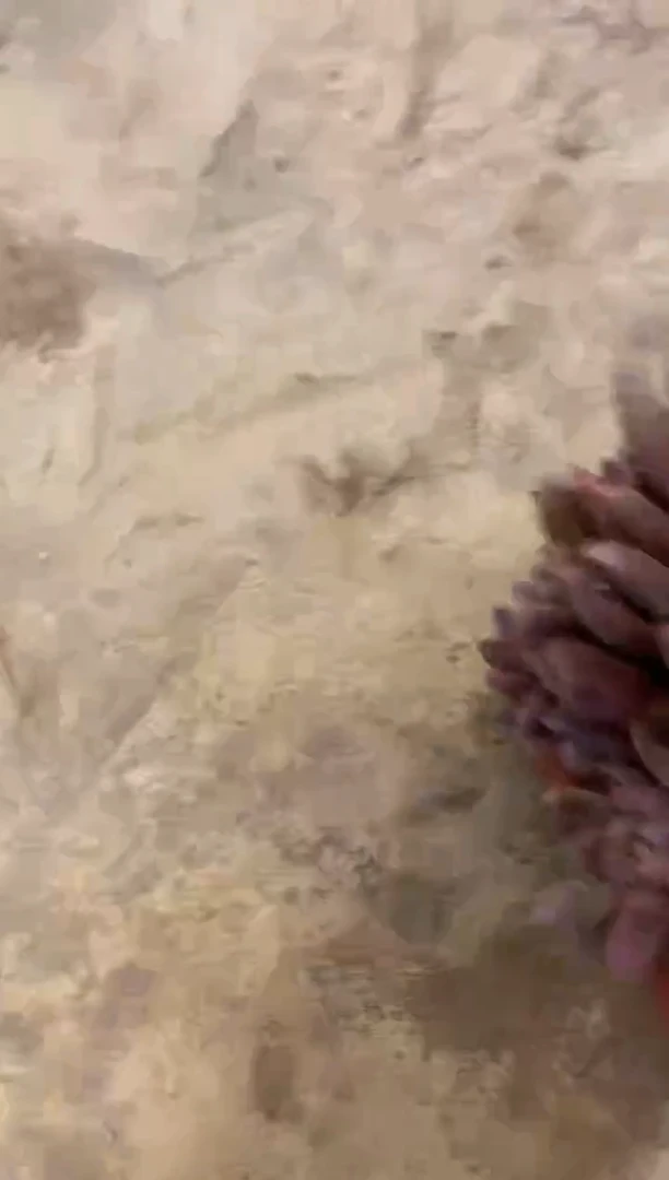 ?***?      179号￥38