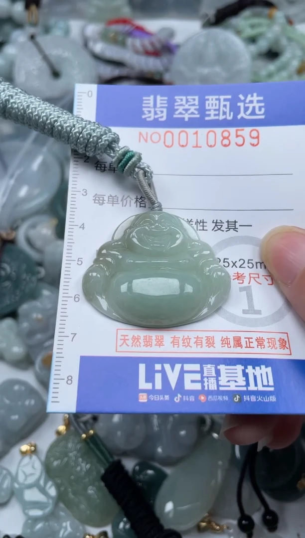 颈饰未镶嵌翡翠10859