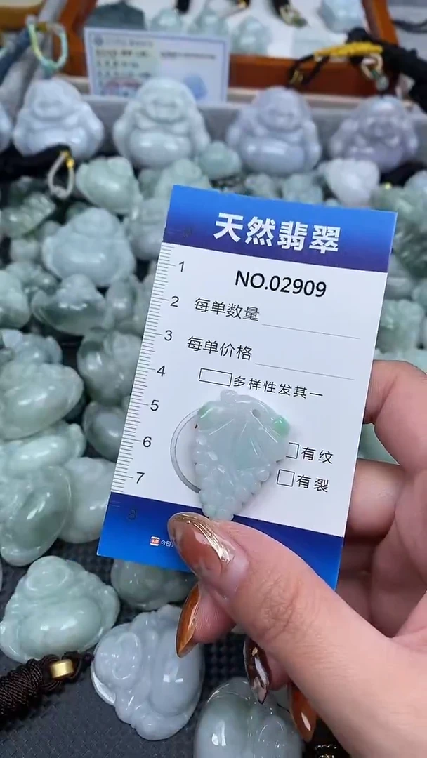 颈饰未镶嵌翡翠纯天然A货翡翠2909