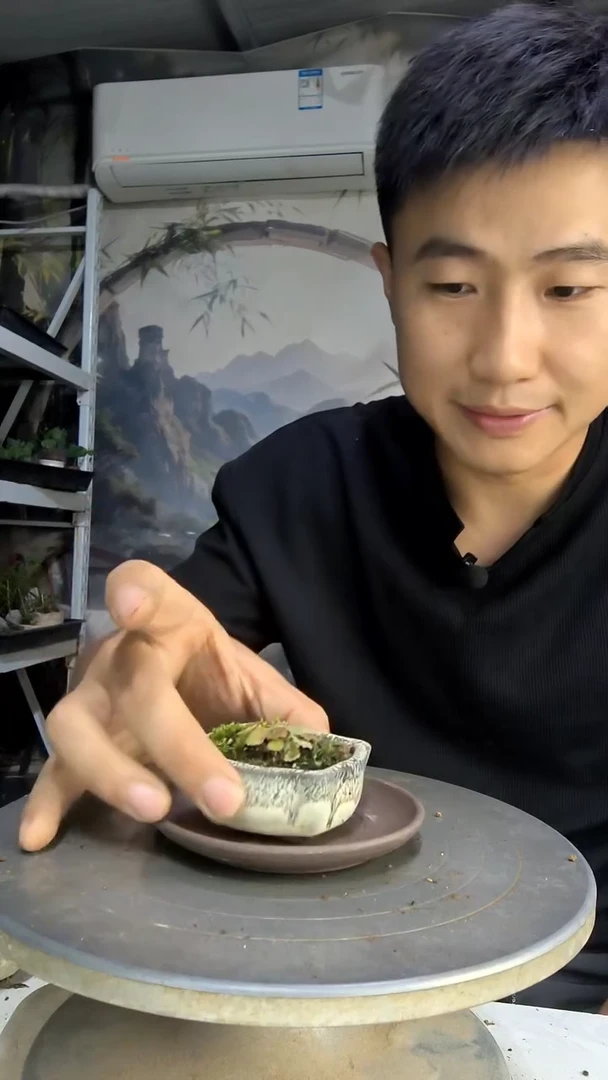 葵**酱中青园艺一物一拍43