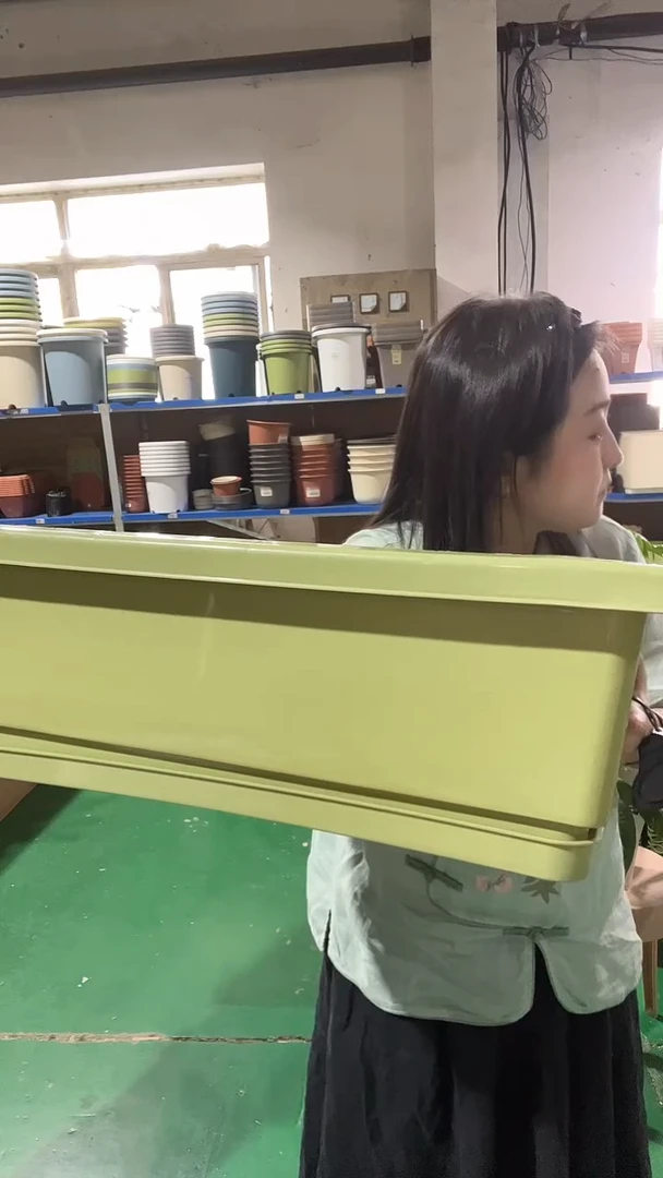2个新600菜槽，绿色，带托盘