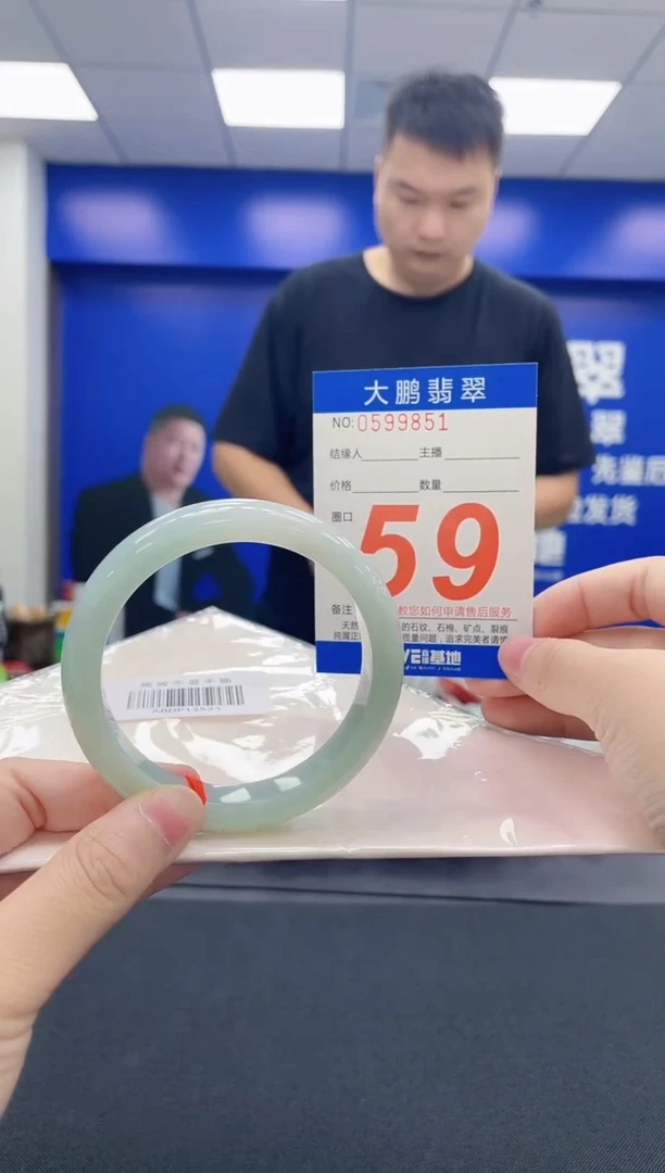 未镶嵌手镯翡翠雁**~AAAAAAAAAA