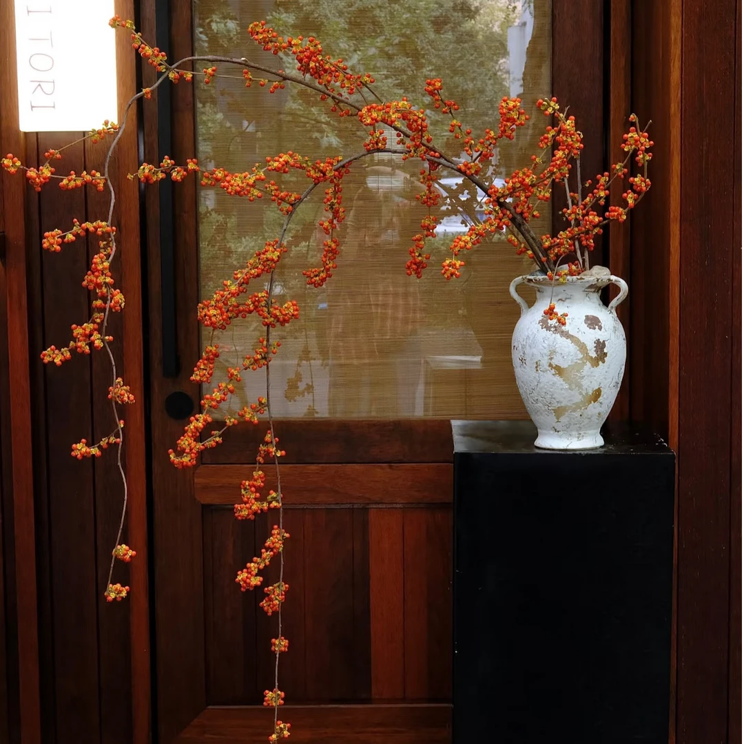 【南蛇藤】进口南蛇藤一物一拍A级南蛇藤鲜花高端诧祭禅意中国风