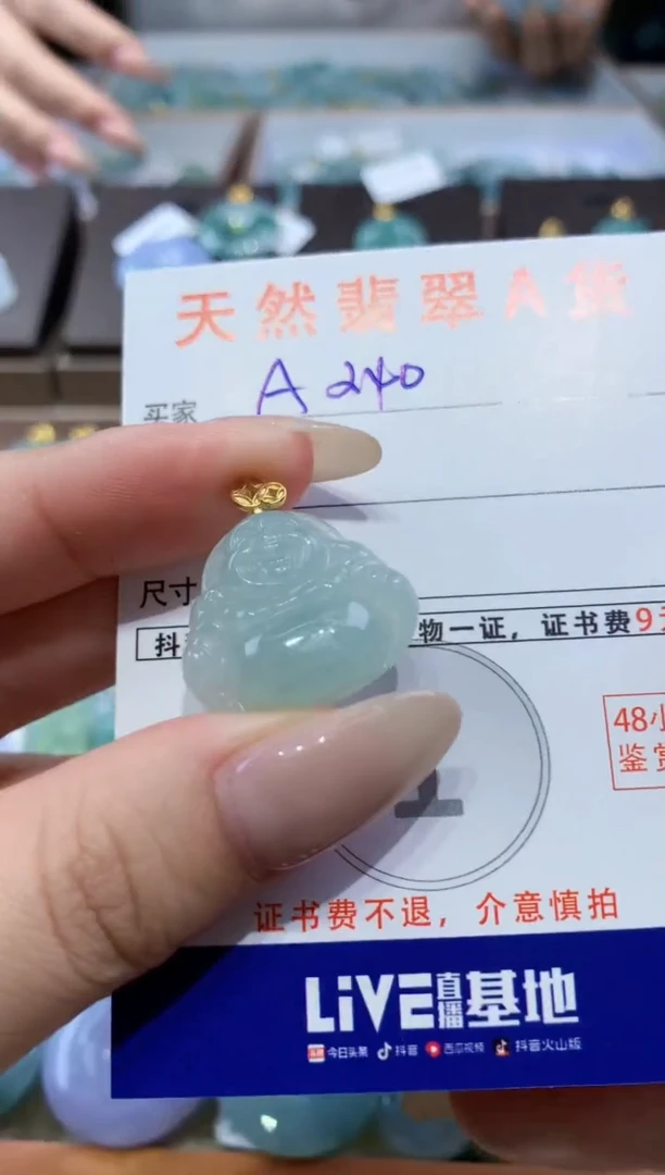颈饰未镶嵌翡翠天然缅甸翡翠A货挂件