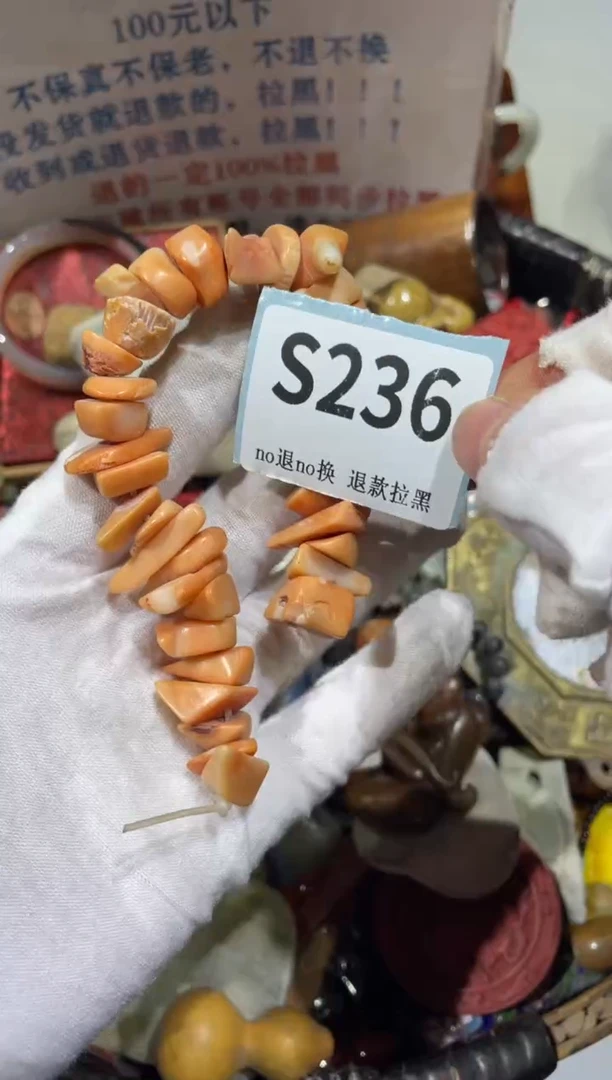 瓷片柳*儿晨怡直播间火爆火爆火爆火爆~·~~