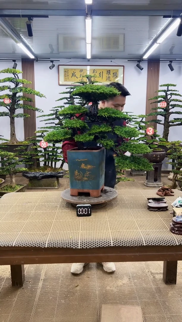 【闪购商品】00000000