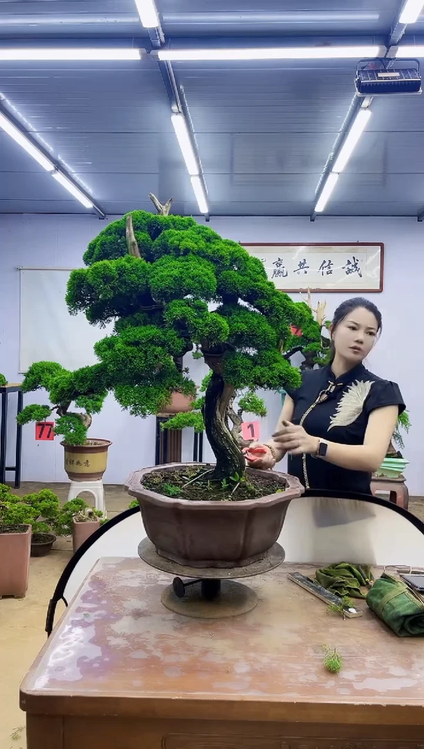 无花朵我**恒0000000
