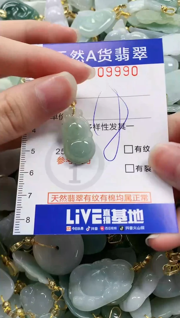 颈饰未镶嵌翡翠纯天然a货翡翠