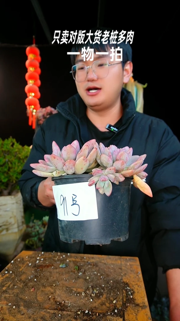 【闪购商品】91号奥普