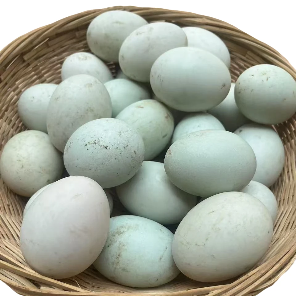 (生的)标准蛋 60-69g 农村散养麻鸭蛋【顺丰包邮】正宗散养土鸭蛋
