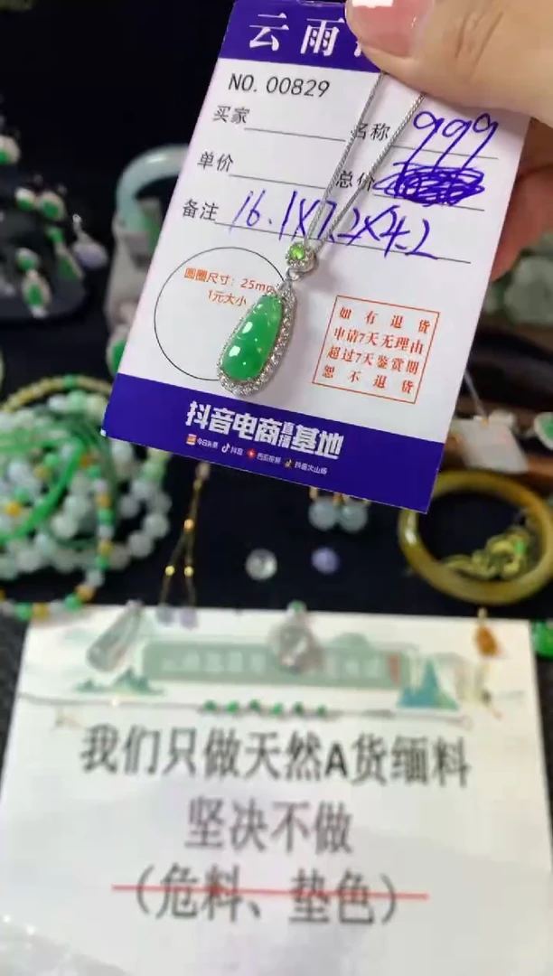 翡翠银S925镶嵌颈饰翡翠