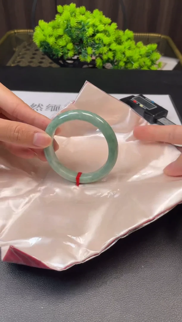 未镶嵌手镯翡翠8816