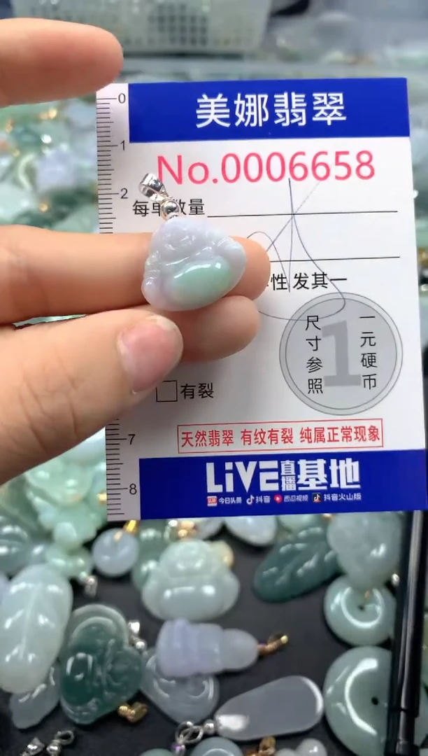 颈饰未镶嵌翡翠6658