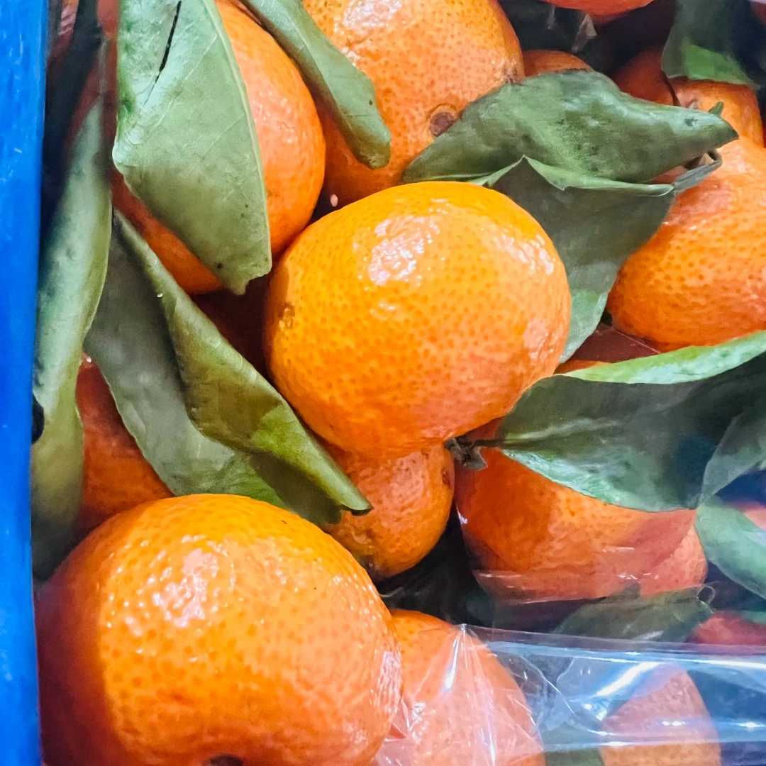 特别水果补差价三勾