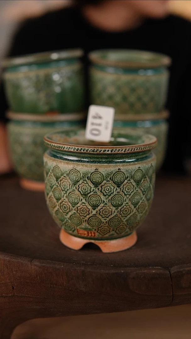 【闪购商品】红陶1-20-410微瑕口5.5-6印花混发