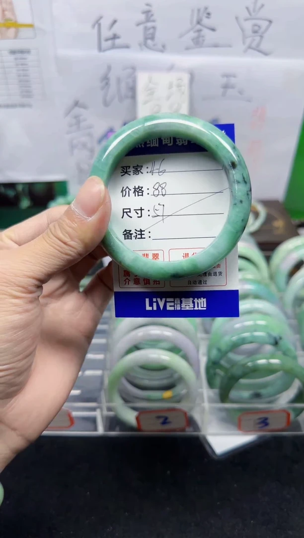 未镶嵌手镯翡翠46