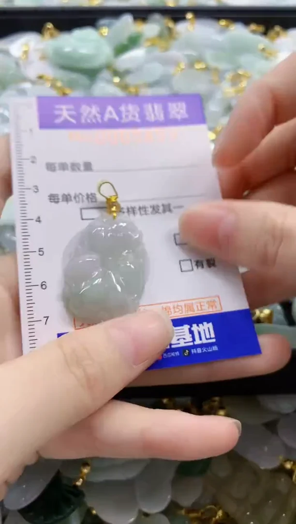 颈饰未镶嵌翡翠纯天然a货翡翠