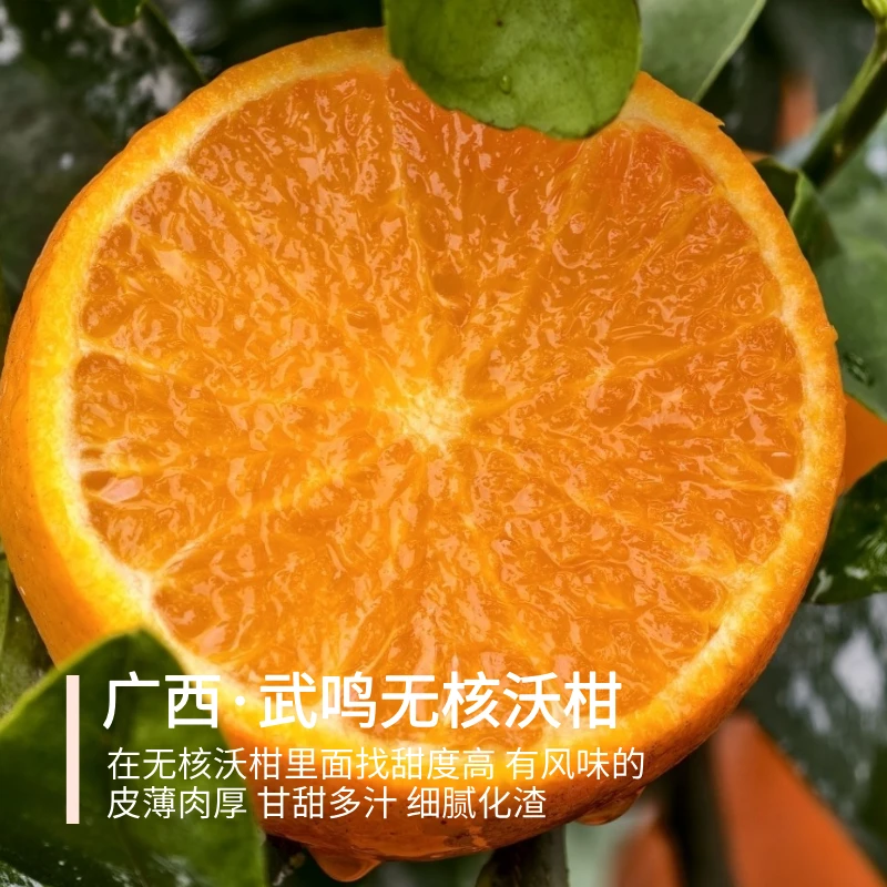 无核沃柑 广西武鸣沃柑 自然无核果肉细腻爆汁香甜有滋味 5斤装