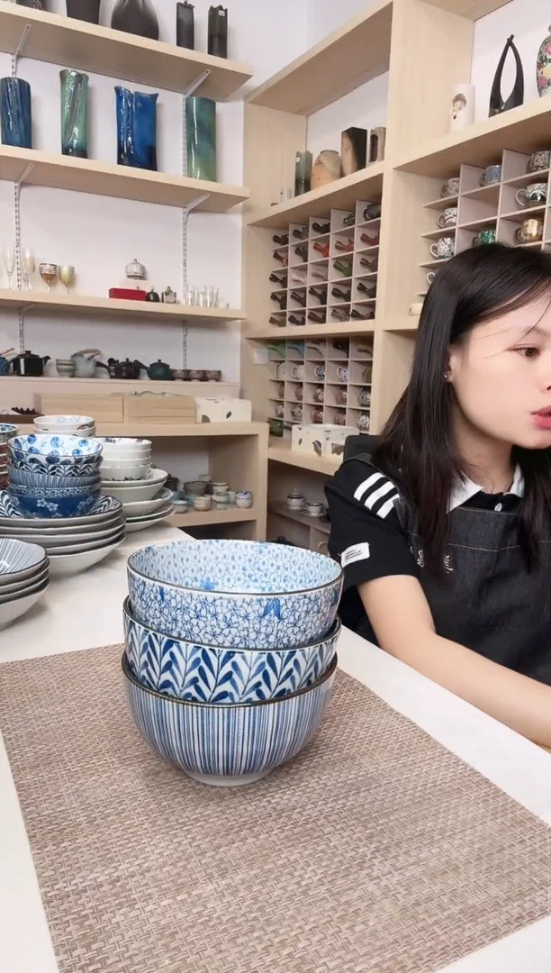 陶6.5英寸汤面碗3只