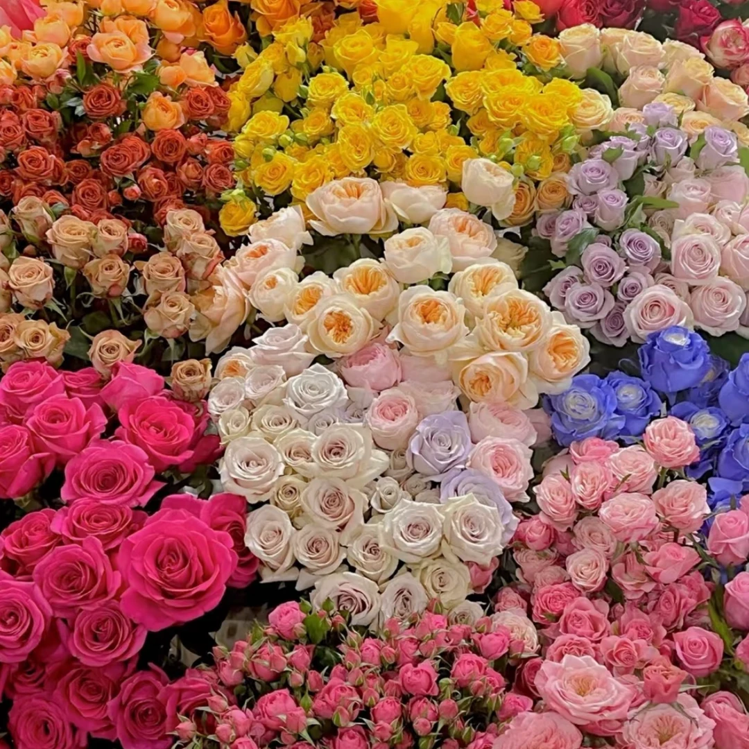 【混搭玫瑰7件】：香槟玫瑰5+黄百合1+洋甘菊5+芭比3+粉玫瑰5+风铃3+配草1