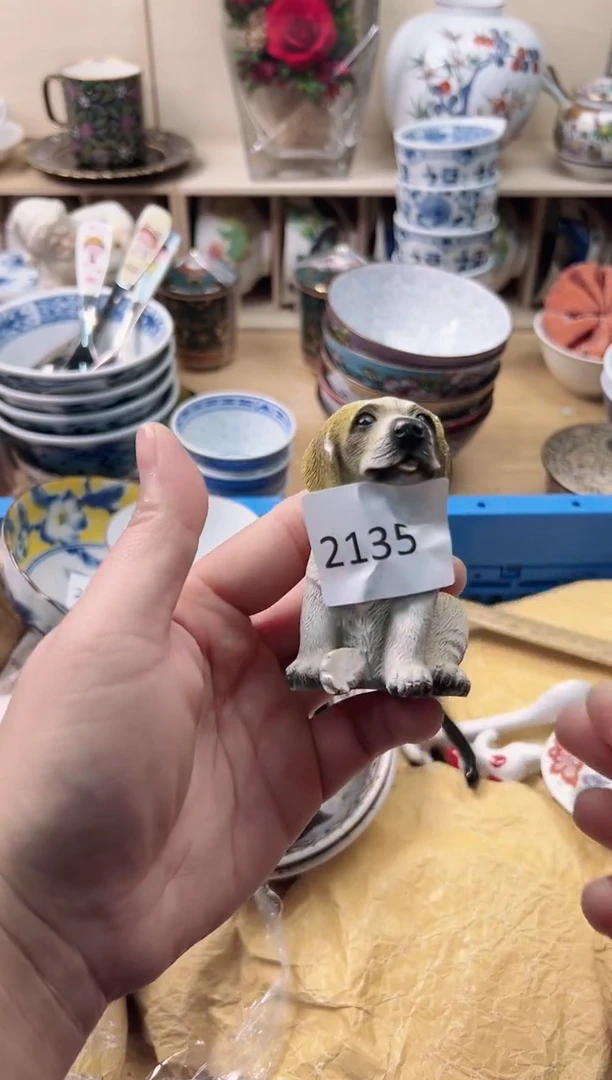 瓷片C**o你好你好你好你好你好