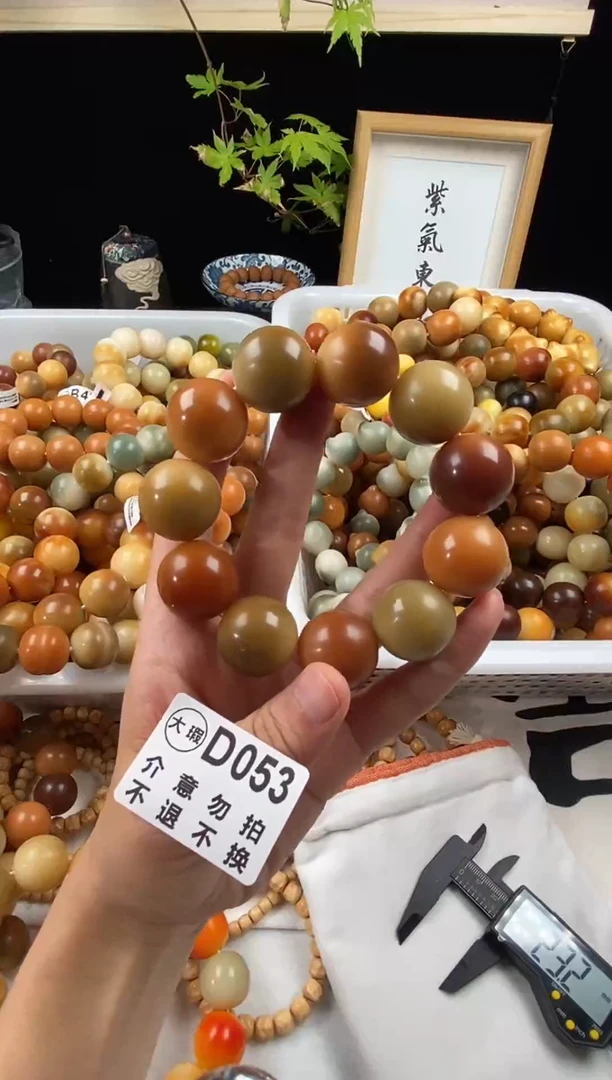 菩提根/象牙果手串手工干磨23mm中大瑕053