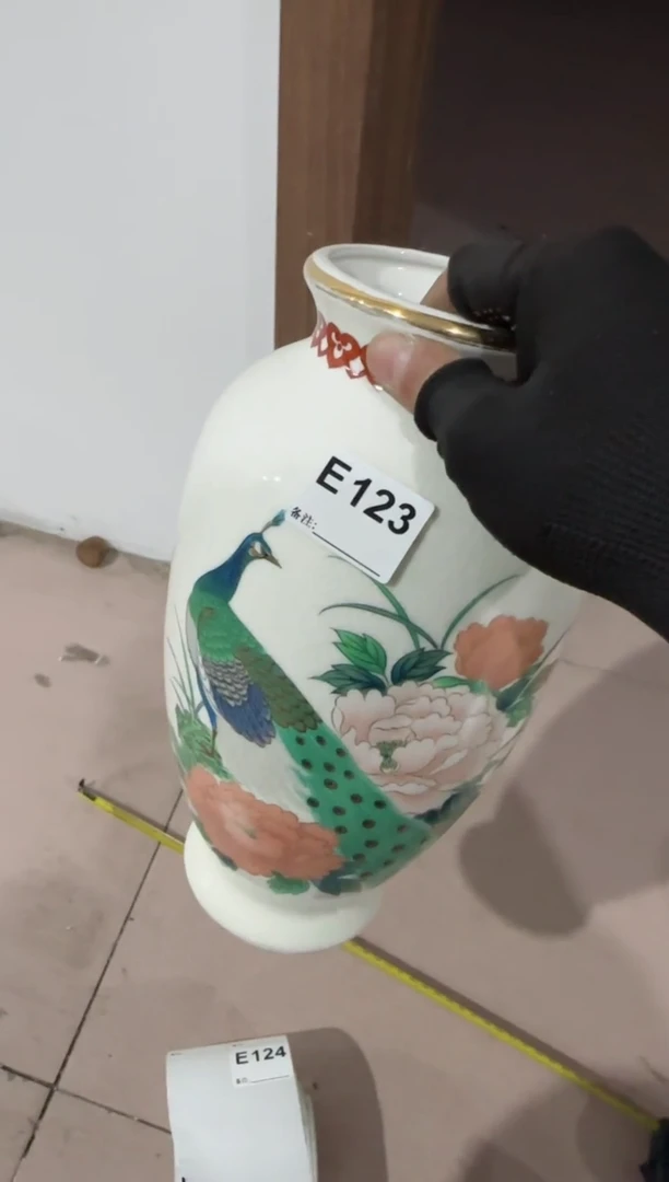 【闪购商品】瓷片123.不退不换，谨慎参拍