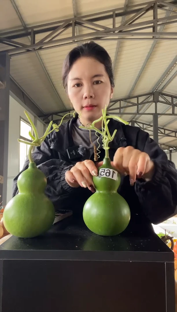 星**语165天然葫芦摆件 一物一拍龙头不保售后