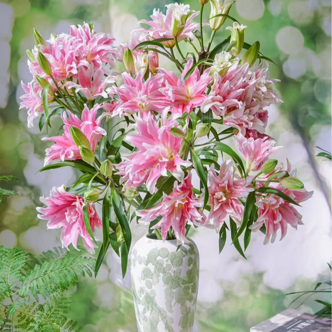 【云舍花卉】【艾琳娜】重瓣百合 全场任意满两单及以上鲜花包邮发货