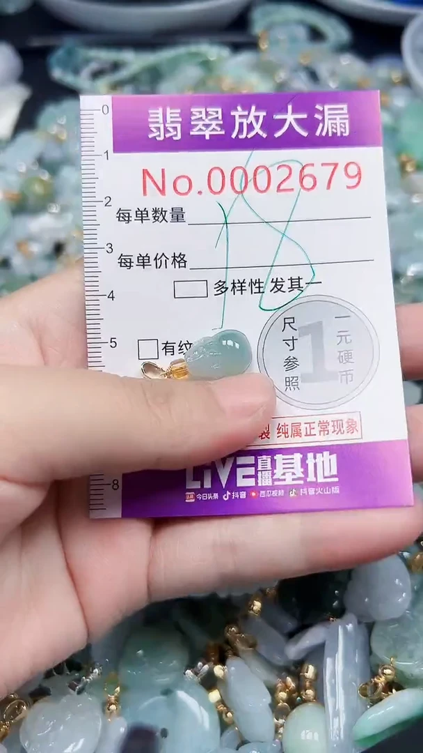 颈饰未镶嵌翡翠2679