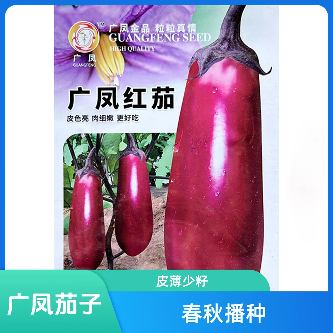 广凤红茄种子 春秋粗棒形果皮红亮皮薄少籽 黑妹早茄娇子长茄黑亮
